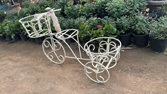 Cycle