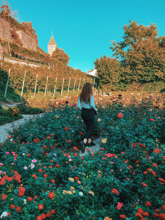 Rose